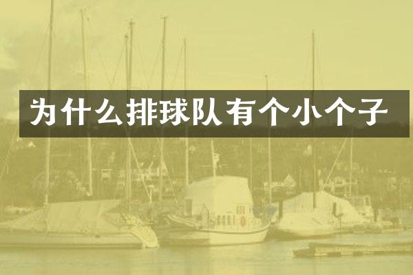 为什么排球队有个小个子