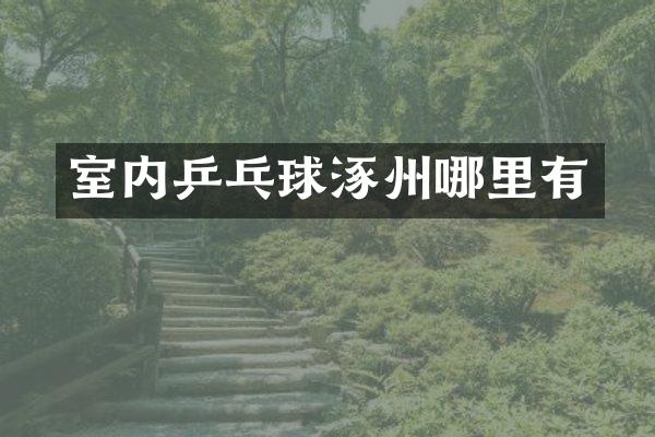 室内乒乓球涿州哪里有