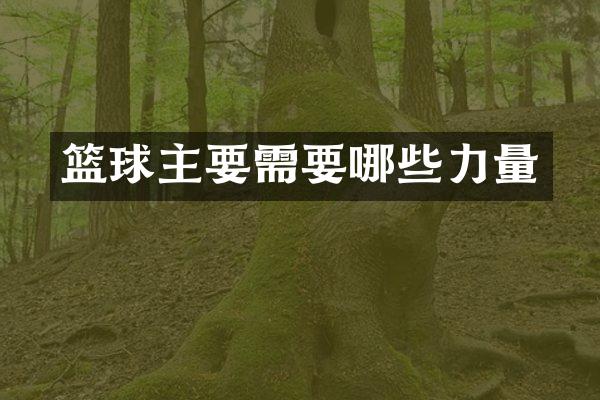 篮球主要需要哪些力量