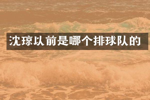 沈琼以前是哪个排球队的