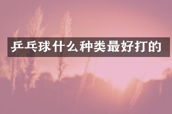 乒乓球什么种类最好打的