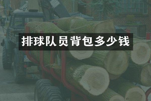排球队员背包多少钱