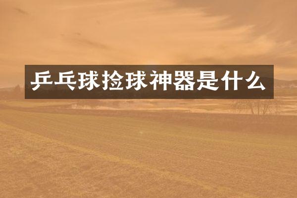 乒乓球捡球神器是什么