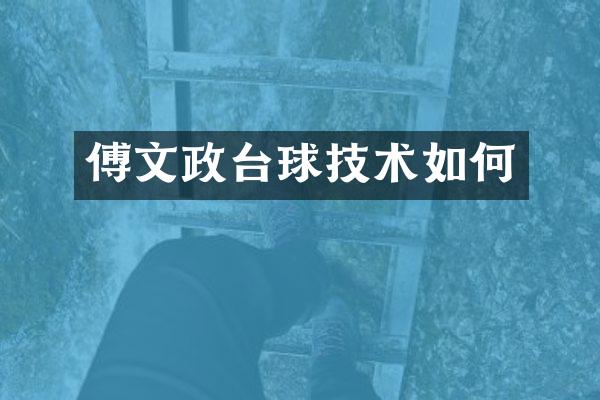 傅文政台球技术如何