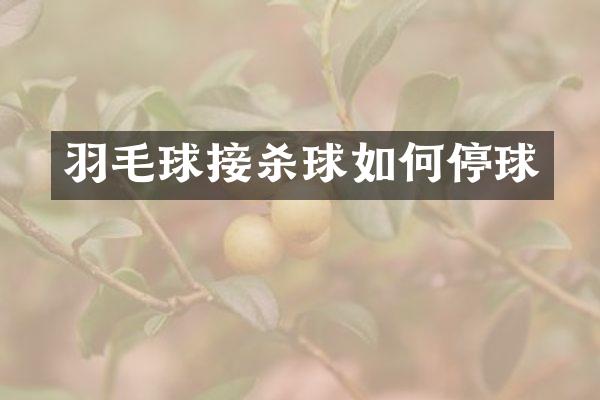 羽毛球接杀球如何停球