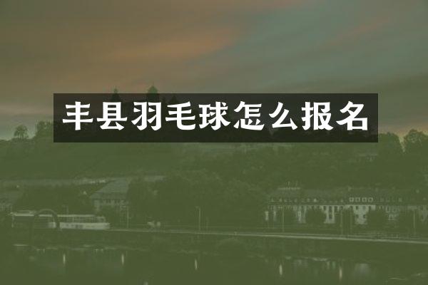 丰县羽毛球怎么报名