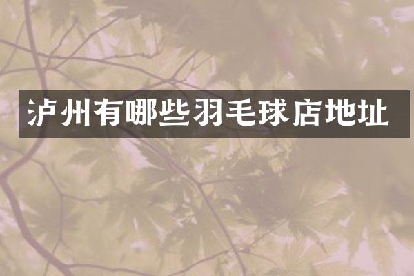 泸州有哪些羽毛球店地址