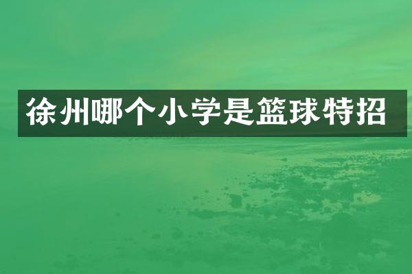 徐州哪个小学是篮球特招