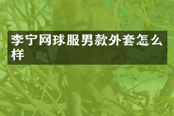 李宁网球服男款外套怎么样