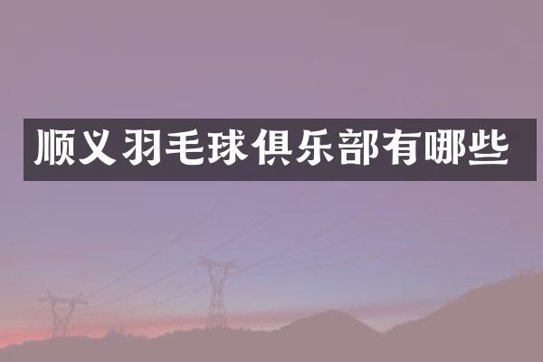 顺义羽毛球俱乐部有哪些
