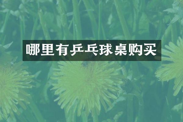 哪里有乒乓球桌购买