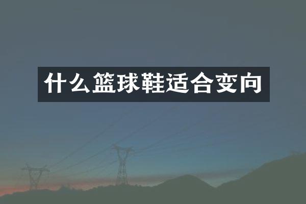 什么篮球鞋适合变向