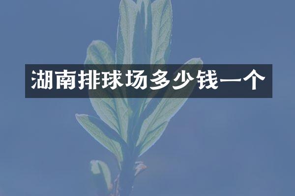 湖南排球场多少钱一个