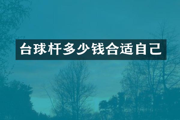台球杆多少钱合适自己