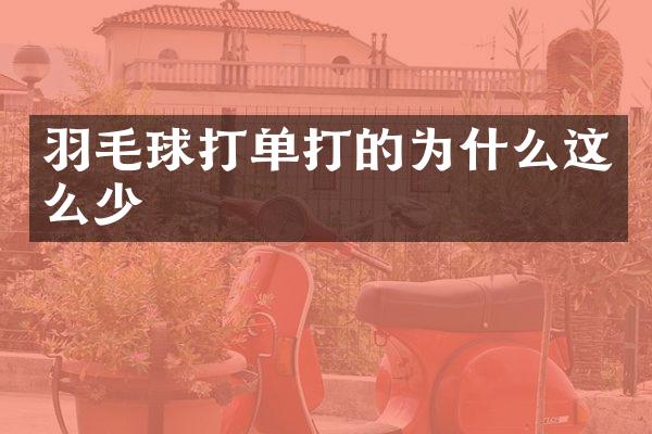 羽毛球打单打的为什么这么少