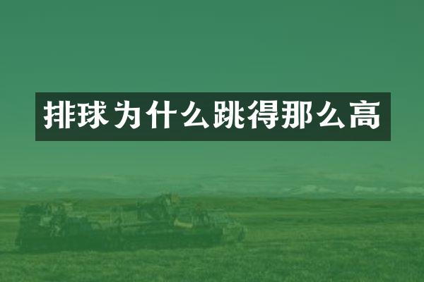 排球为什么跳得那么高