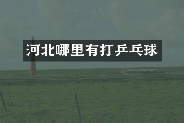 河北哪里有打乒乓球