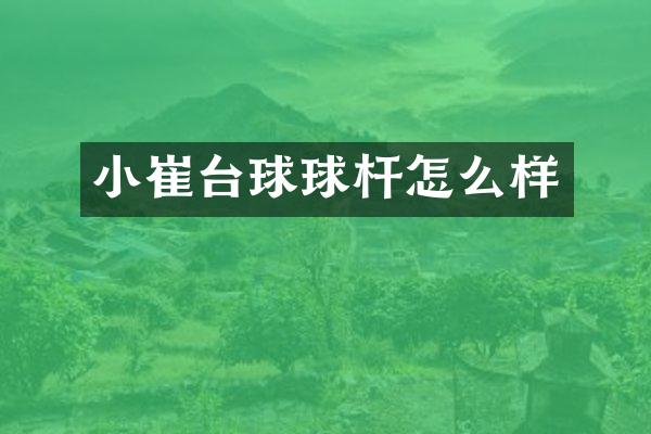 小崔台球球杆怎么样