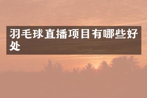 羽毛球直播项目有哪些好处