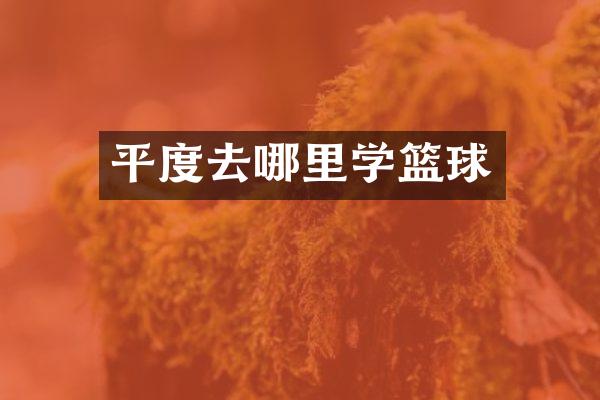 平度去哪里学篮球