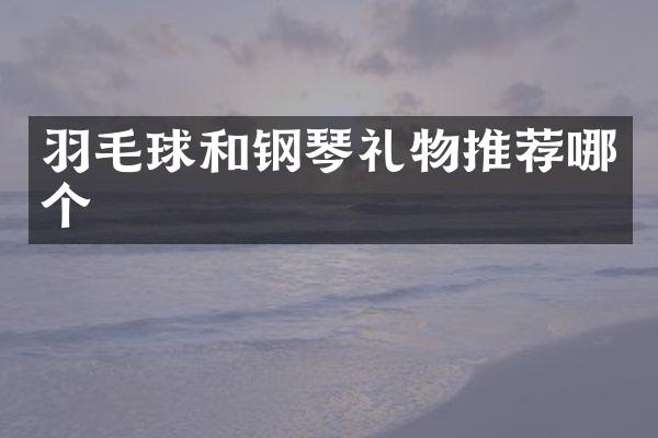 羽毛球和钢琴礼物推荐哪个