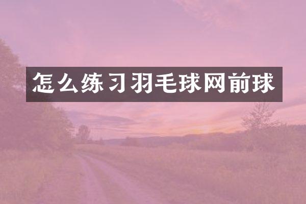 怎么练习羽毛球网前球