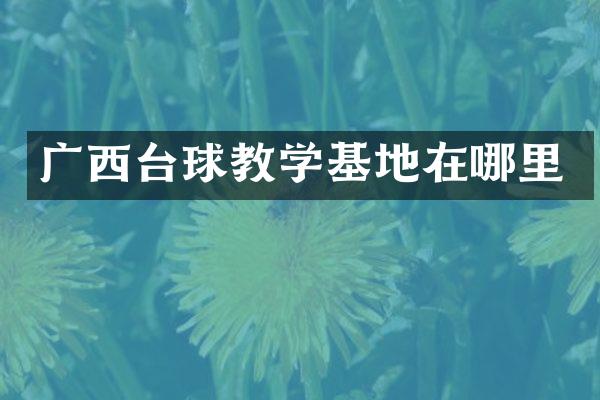 广西台球教学基地在哪里