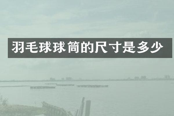 羽毛球球筒的尺寸是多少