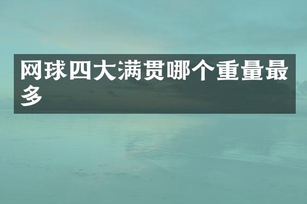 网球四哪个重量最多
