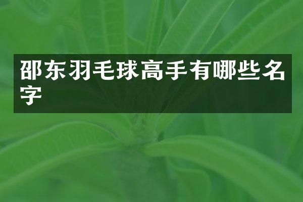 邵东羽毛球高手有哪些名字