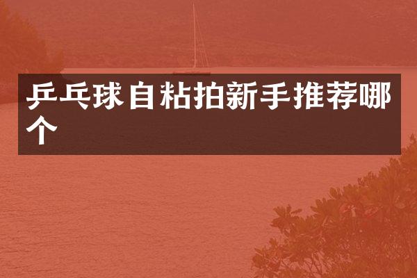 乒乓球自粘拍新手推荐哪个