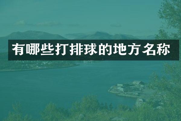 有哪些打排球的地方名称