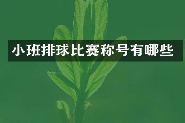 小班排球比赛称号有哪些