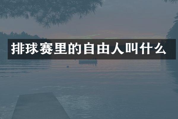 排球赛里的自由人叫什么
