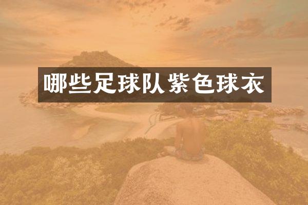 哪些足球队紫色球衣