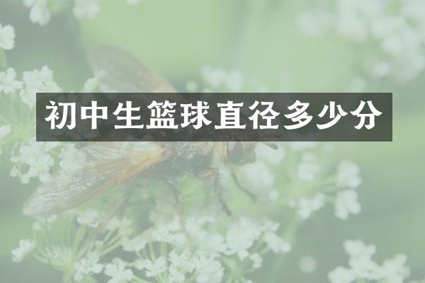 初中生篮球直径多少分