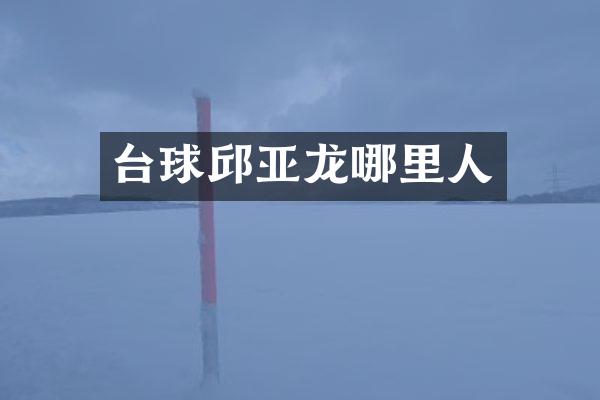 台球邱亚龙哪里人