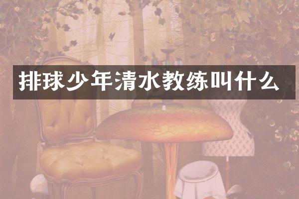 排球少年清水教练叫什么