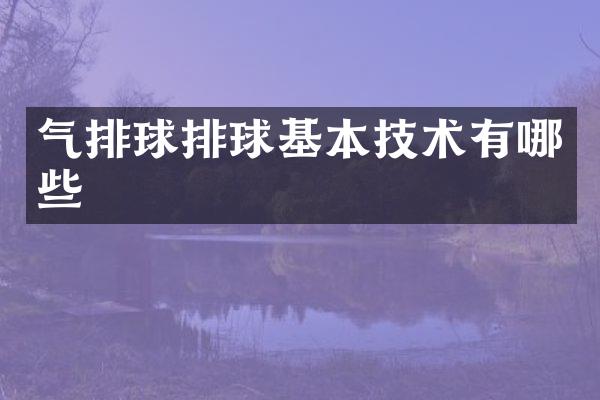 气排球排球基本技术有哪些
