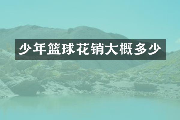 少年篮球花销大概多少
