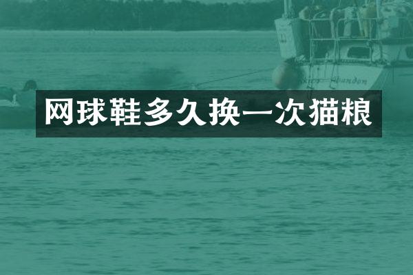 网球鞋多久换一次猫粮