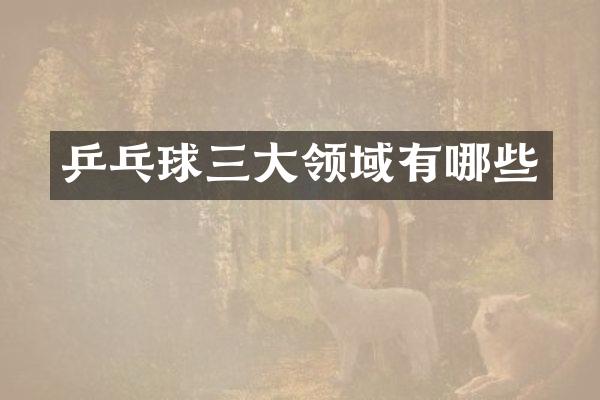 乒乓球三大领域有哪些