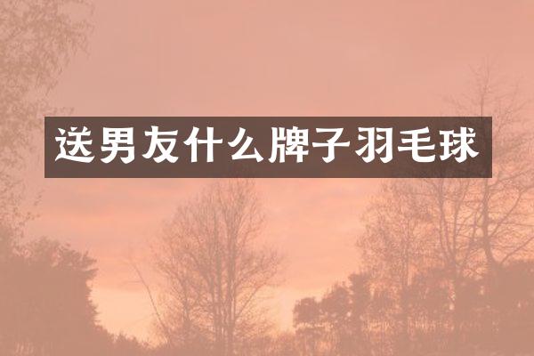 送男友什么牌子羽毛球