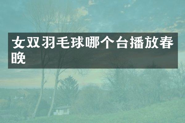 女双羽毛球哪个台播放