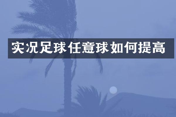 实况足球任意球如何提高