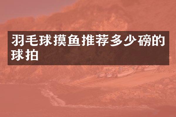 羽毛球摸鱼推荐多少磅的球拍