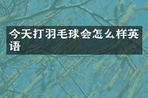 今天打羽毛球会怎么样英语