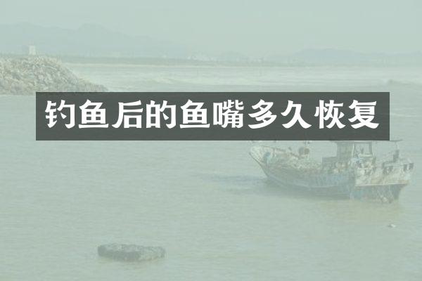钓鱼后的鱼嘴多久恢复