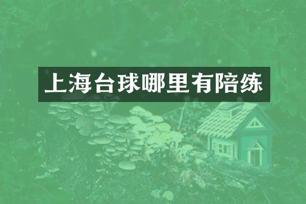 上海台球哪里有陪练