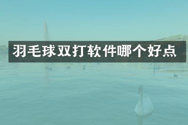 羽毛球双打软件哪个好点